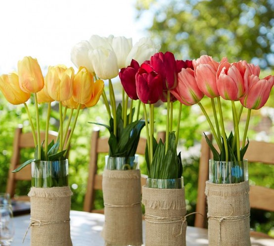 Tulipanes para jardín 